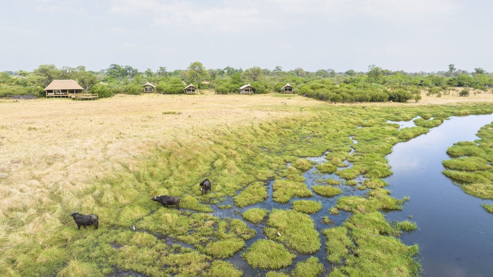 How to Choose a Botswana Safari That Fits You