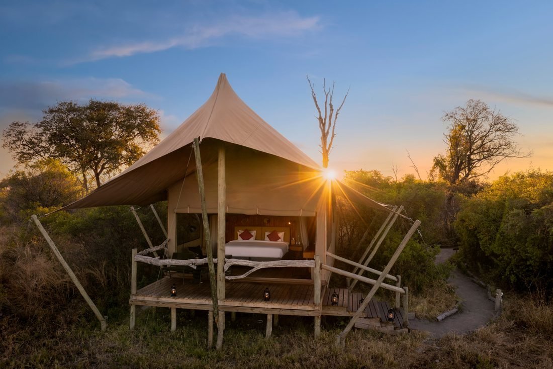 A guest tent at Camp Khwai on its raised deck, the sun setting behind a bare tree.